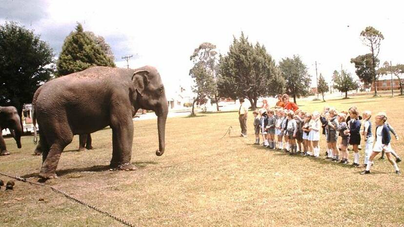 FLASHBACK: Bathurst Public School students on an excursion to Centennial Park to see Ashton’s Circus, circa 1973.