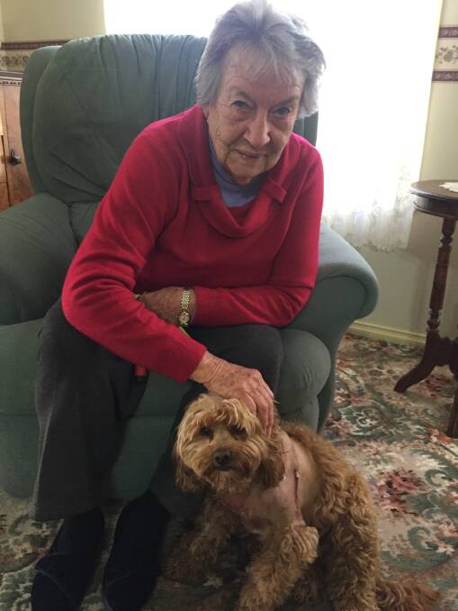 HOME SAFE: Dorothy ‘Dot’ Simmons and Daisy the five-year-old cavoodle are back home after they were both injured in a ferocious dog attack this week. 072816dot