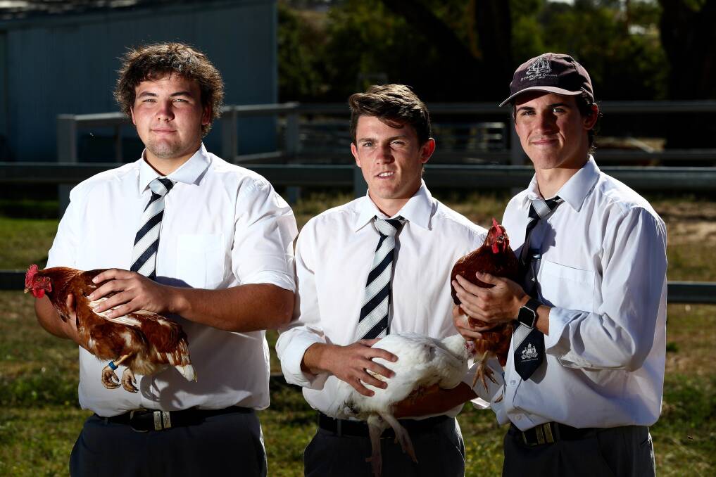 SHOW READY: St Stanislaus' College students Fletcher Smith, Hamish Scott and Nick Rankine with the chooks they will take to the Sydney Royal Easter Show. Photo: PHIL BLATCH 032018pbchook1