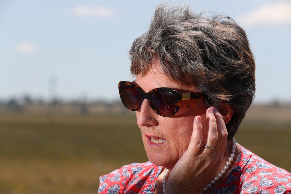 NOT HERE, THANKS: Margie Locke are among the people fighting the approval of a 203 hectare solar power plant at Brewongle. Photo: PHIL BLATCH 111417pbsolar3
