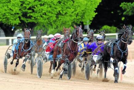 FORGET THE RUMOURS: Despite plenty of speculation, the Bathurst Harness Racing Club is not under investigation as part of the swabbing scandal.