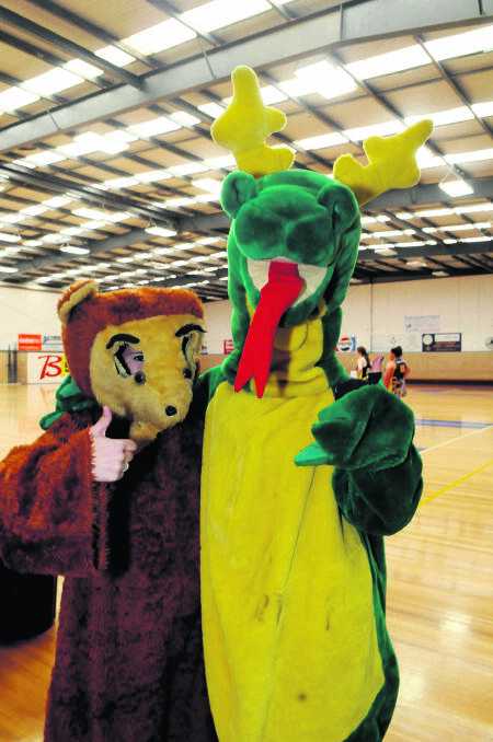 ENTHUSIASTIC: Bathurst High mascots Frosty the Bear and Malfoy the Dragon cheer on the Bathurst netball team. Photo: PHILL MURRAY 061813pbxhi1