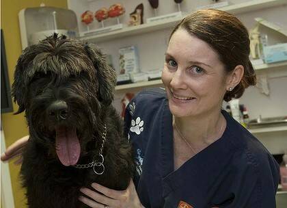 Lead clipped ... veterinarian Amelia Daymond of Sydney Animal Hospitals, Newtown, is pleasantly surprised female graduates now earn more than their male counterparts.