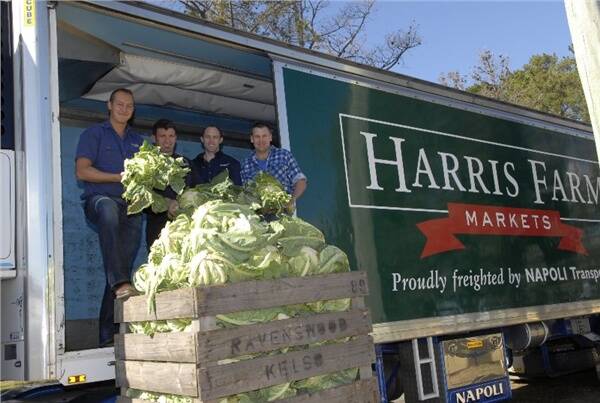 TWENTY-FIRST MARKET: Harris Farm Markets operations chief, Luke Harris with produce buyer Carlo Ceravolo, Bathurst shop manager, Paul Nairne and market gardener Michael Willott checking the qualify of quality cauliflowers that are being picked in Bathurst. Photo: Phill Murray. 061709pharris2