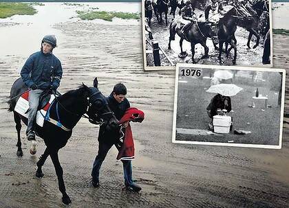 In 1976, when Van Der Hum won the Melbourne Cup, record rainfall made the great race a misery. Tomorrow's race is likely to be run in similarly wet conditions and Monaco Consul took a walk on the sodden Flemington infield yesterday.