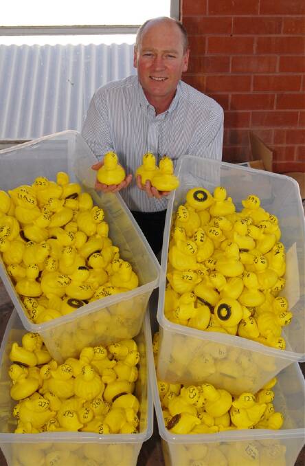 GO THE DUCK: David Weekes of the Rotary Club of Bathurst is bringing duck racing back to the region’s Australia Day festivities. Photo: ZENIO LAPKA 110810zducks