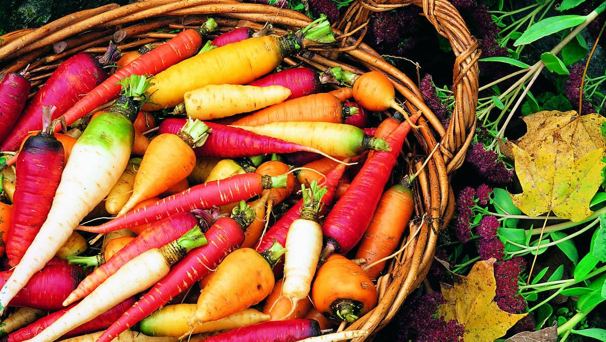 Grow your Own: Vegetable Gardening Workshop. Rahamim Ecology Centre, 34 Busby Street, South Bathurst September 9 from 10am–12.30pm. Cost: $50 full price or $10 concession card holder Price includes a seasonal growing manual and take-home seedlings! Phone: (02)63329950 or visit www.rahamim.org.au