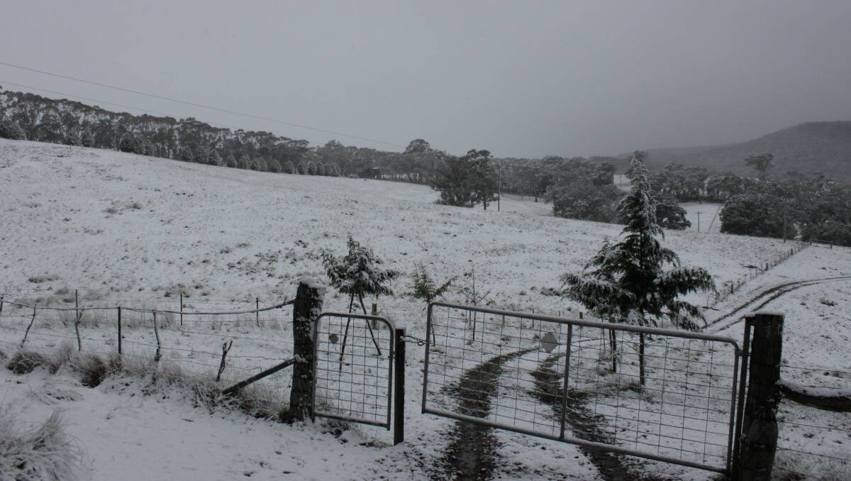 SNOW: My front gate looking towards Duckmaloi Farm. Photo: Wendy Hawkes