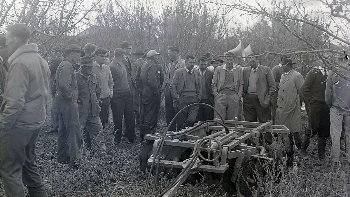 Orchardists at an OPR machinery demonstration, May 1964. Photo courtesy CWD Negative Collection, Orange & District Historical Society.