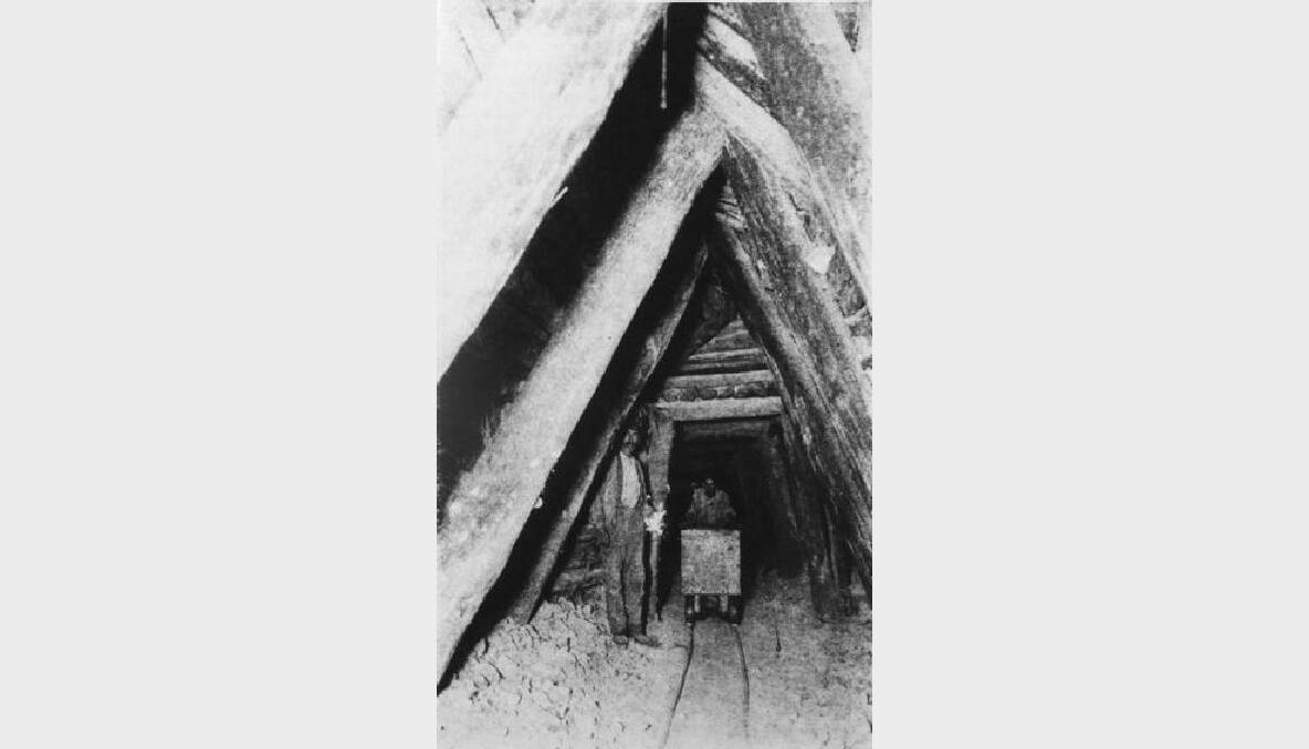 A mineshaft at Lucknow gold mine, no date. Photo: The Collections of Central West Libraries.