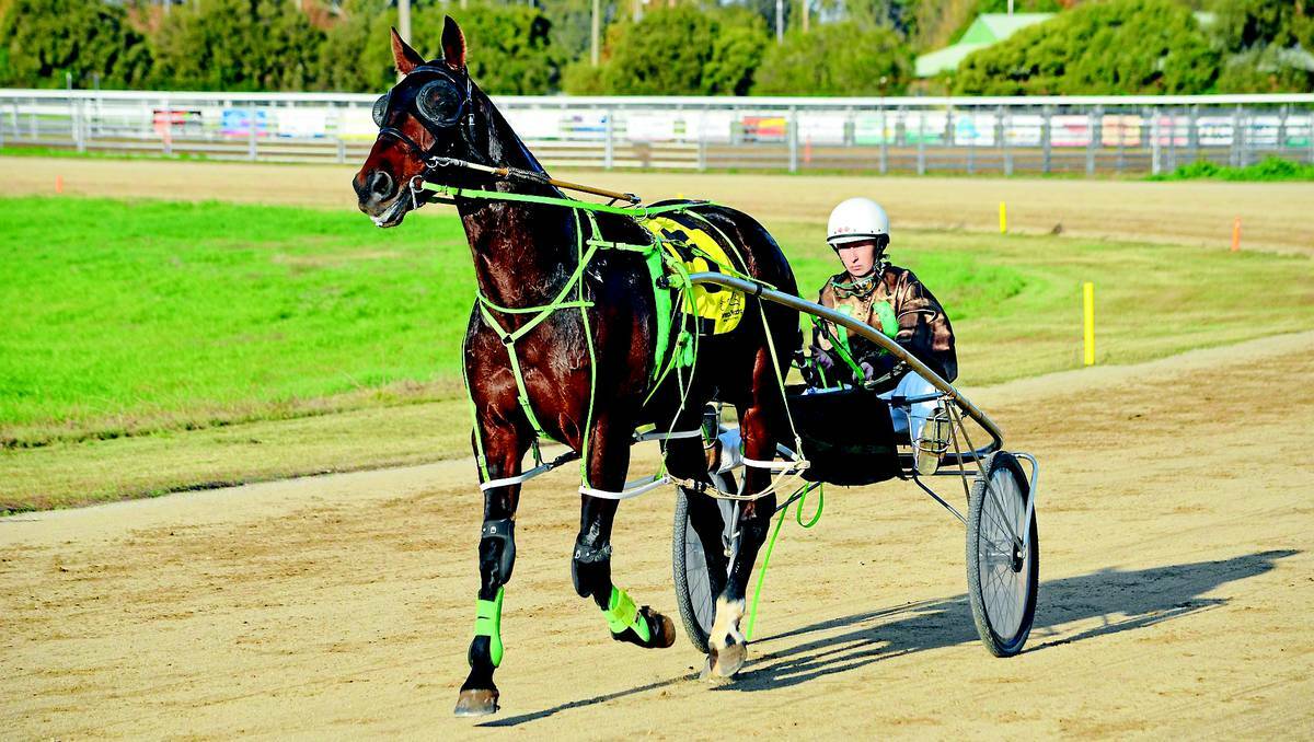CANOWINDRA: The Canowindra Harness Racing Club are harnessing new members with a recent annual general meeting. 