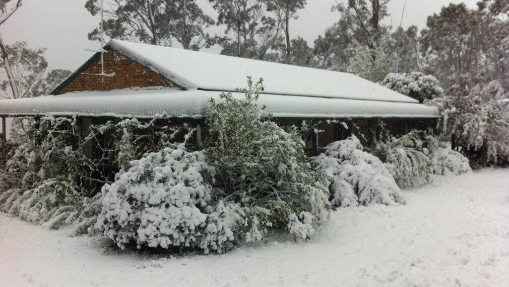 SNOW: Bell near Lithgow this morning, has already had around 15cm of cover and it's still falling. Photo: Andrew Lark