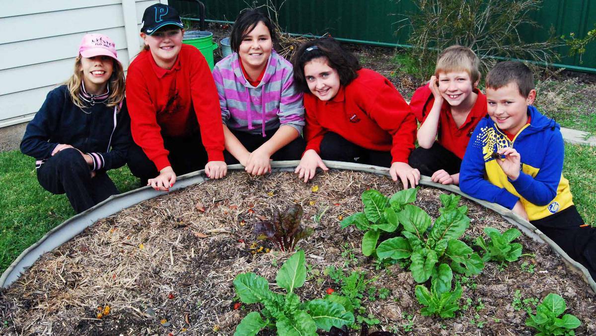 COWRA: Holmwood Public School hopes to host a market day in October. Pictured are Holmwood's gardening group members Lisa Brien, Ashleigh Harding, Kaylah Rust, Brittany Kiss, Jarrod Hodgeson and Damien Harding