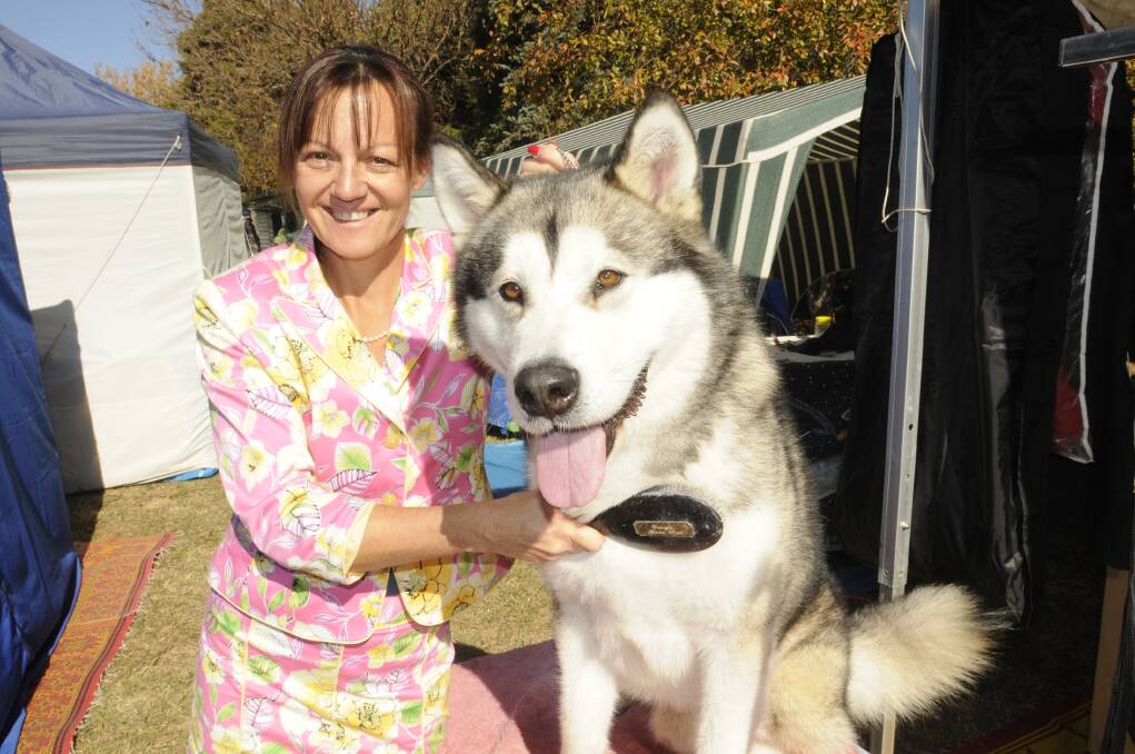 MAY: Lyne Browning of Canberra with Hazyman, a four-year-old Alaskan Malamute. He won Best in Breed, Malamute and Best Australian Bred in the Utility Group at Bathurst's All Breeds Championship.