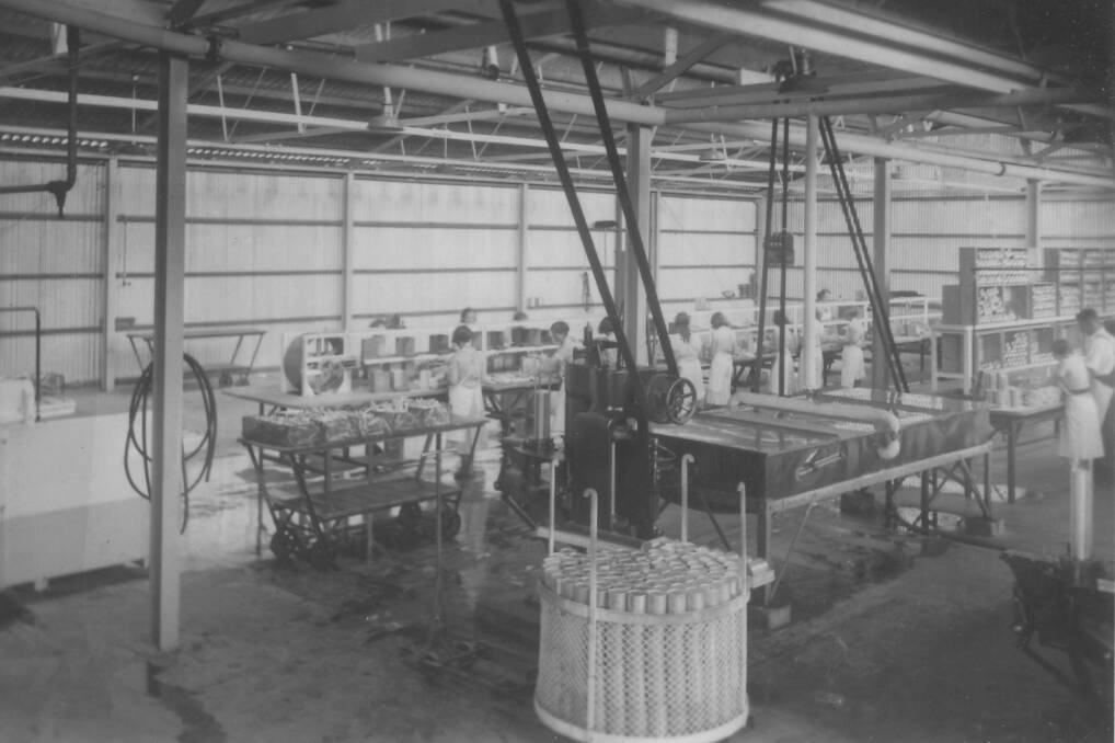 HARD AT WORK: Workers operate the asparagus and vegetable lines at the Edgell cannery in Bathurst around 1933. The Edgell factory had been expanded in 1932.