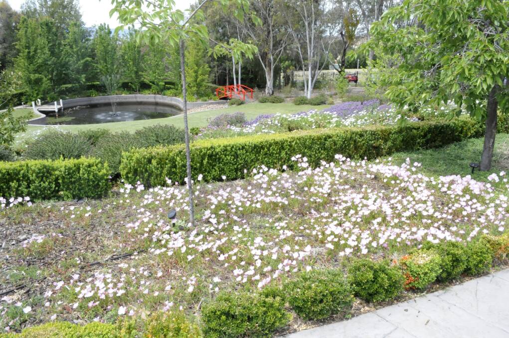 PERFECT WEATHER: Hundreds of people were out enjoying the Bathurst Spring Spectacular over the weekend. If you missed it, here is a peek at some of the gardens. Photos: Chris Seabrook 102713csprng21