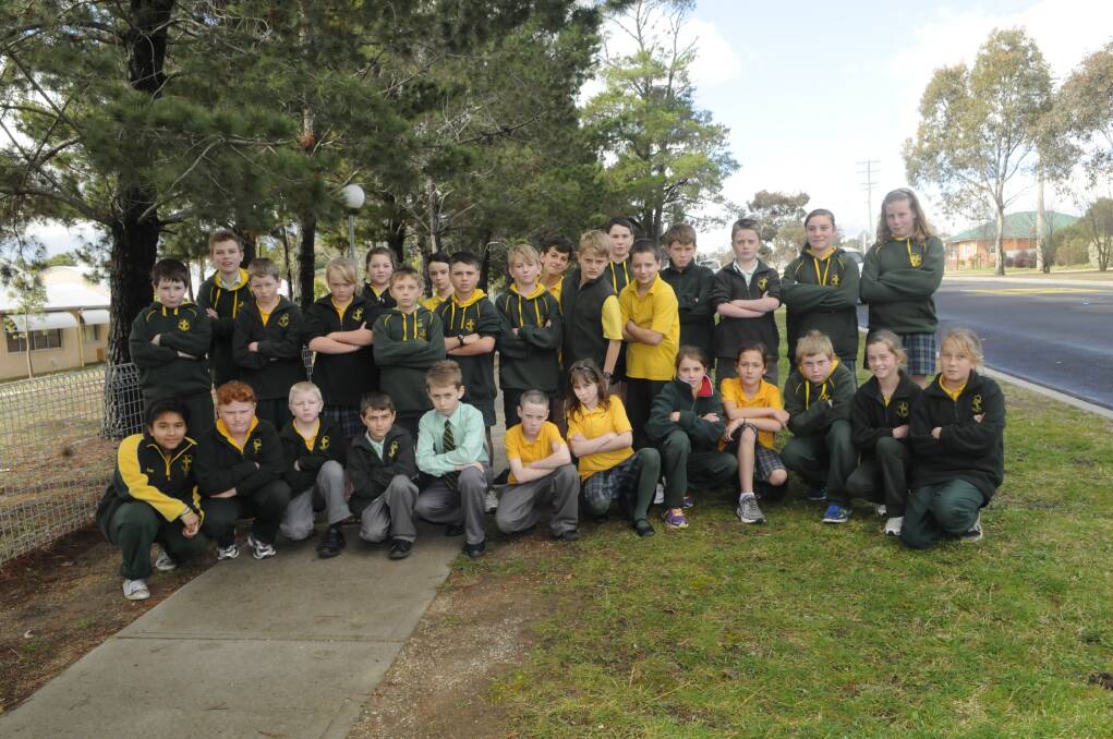 JULY: A pavement covered in dog poo is causing problems for students at Raglan Public School.