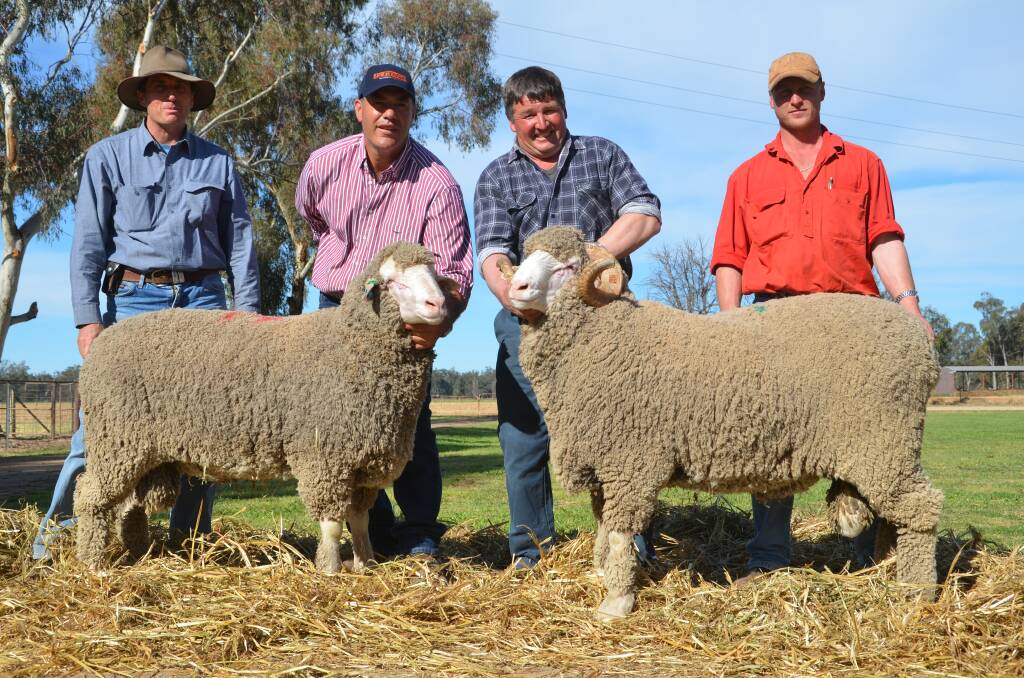 Robert Green, Green Partnership, Forbes purchased the top priced ram of the day, lot 19, for $5000. The equal highest priced horned Merino ram, lot 66, was bought by Mark and Brad Jones 'Booroola', Condobolin. Lachlan Merino stud principal and vendor Glen t Rubie is pictured holding the top price ram. Photo: Rebecca Sharpe
