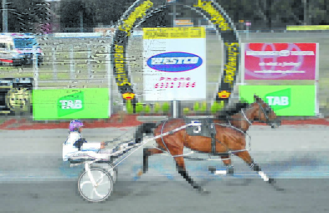 CLASS OF HIS OWN: Feels Like Magic didn’t face any competition as he crossed the line in Wednesday night’s Shirley Turnbull Memorial. Photo: CHRIS SEABROOK 	122612ctrots2