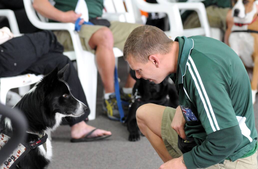 CATCHING UP: Two-year-old border collie Goose is reunited with his former trainer and Bathurst Correctional Centre inmate, Dwane, six weeks after Goose graduated from the Dogs for Diggers program. Photo: ZENIO LAPKA 	061313zdogs8