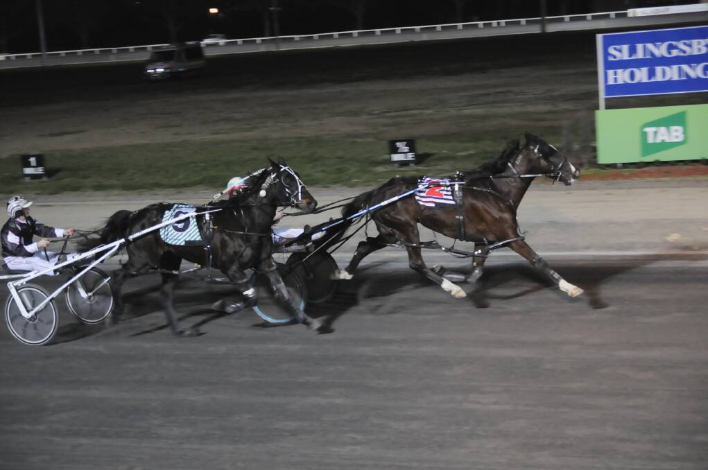 HOLDING ON: Western Burner, running along the pegs, stays clear of El Mega during a dominant display at the Bathurst Paceway on Wednesday night. Photo: CHRIS SEABROOK 	081413ctrots1