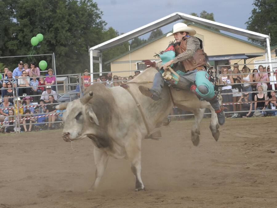 HOLD ON TIGHT: Reese Peterson competes in the open bull event at the Bathurst Bull Ride before a crowd of about 3000 people at Bathurst Showground on Saturday night. Photo: CHRIS SEABROOK 	120812cbull11