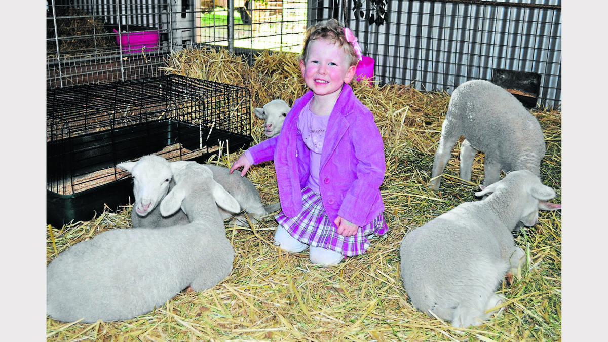 PARKES: Chloe Mudiman (3) got up close and personal with the lambs at the Animal Nursery at the Parkes show.