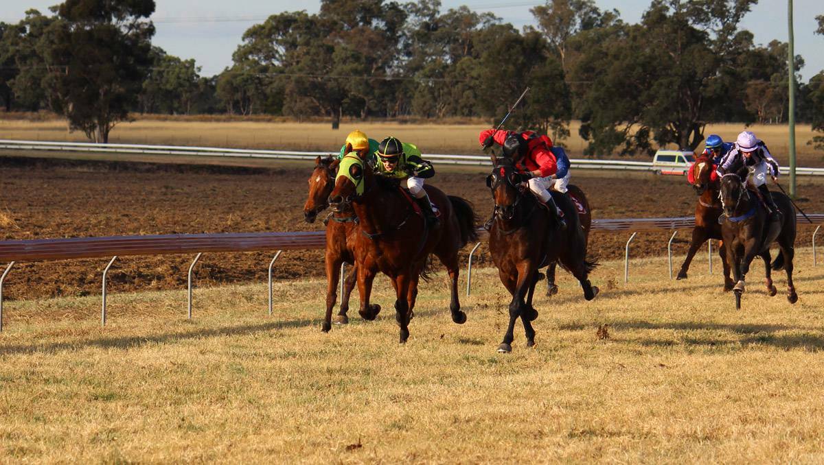 MUDGEE: THREE-HORSE RACE: Convent Hill (right) with Greg Ryan on board did it tough to win the Gulgong Cup by a head on Sunday. The mare ran down Honour Ron (middle) and Gulgong-trained Hewentwhoosh. PHOTO: DARREN SNYDER