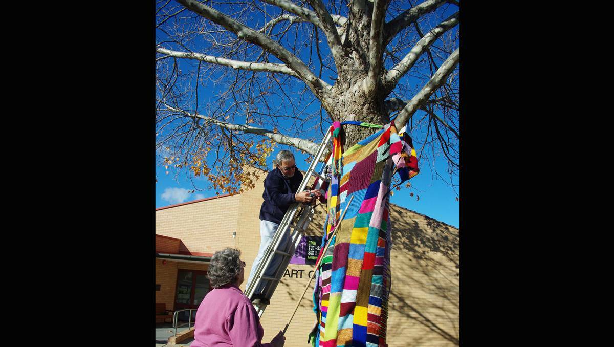 COWRA: Cowra Art Group’s knitters are giving the town a brighter look this winter making a multi-coloured woollen jacket to wrap around a Darling St tree.