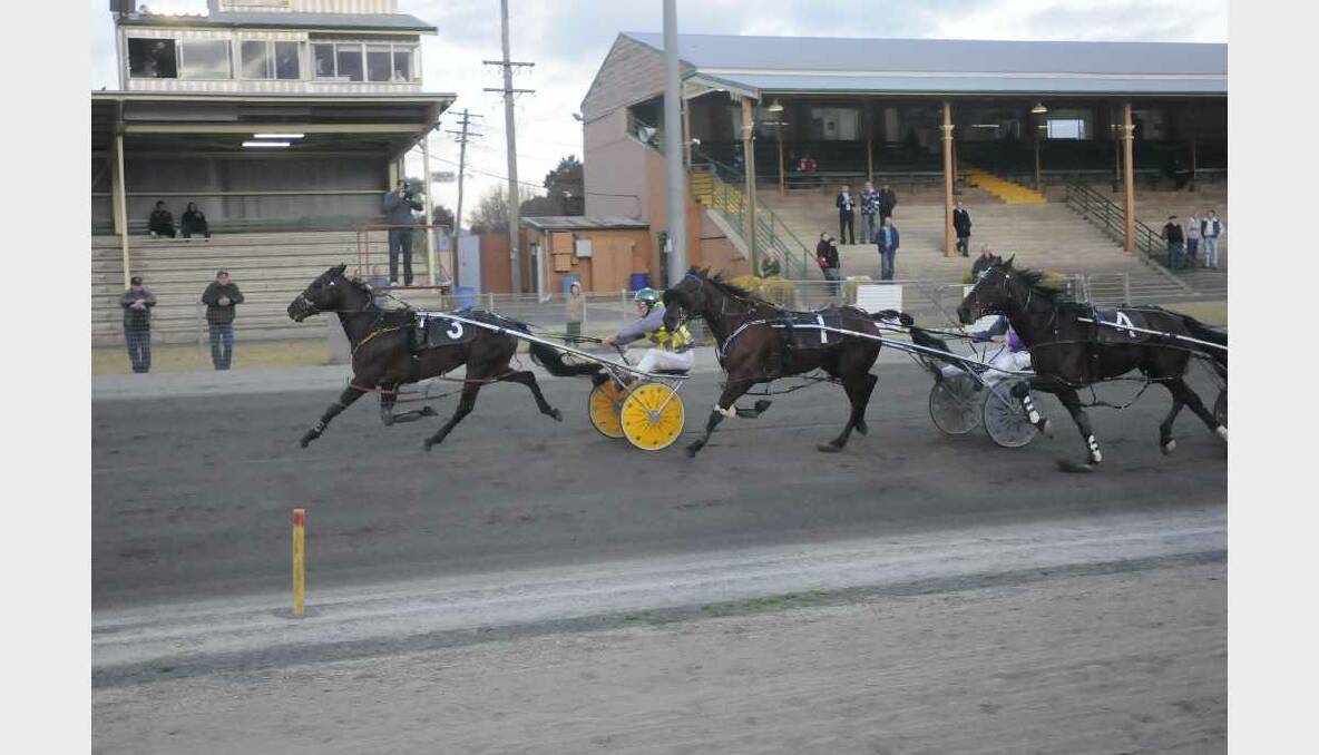 Doesentmatta(3)/Neville Donnelly/Gold Crown 27 Foal Payments Pace in 2011.Photo:CHRIS SEABROOK  061111ctrots1