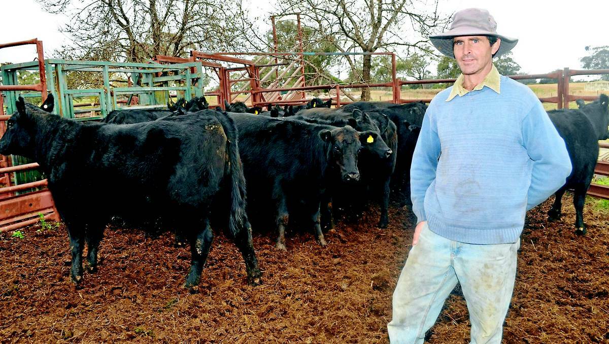 ORANGE: Lower than average rainfall means Cudal farmer Tom Kirkness will be selling stock. Photo LUKE SCHUYLER 0606LSCOWS