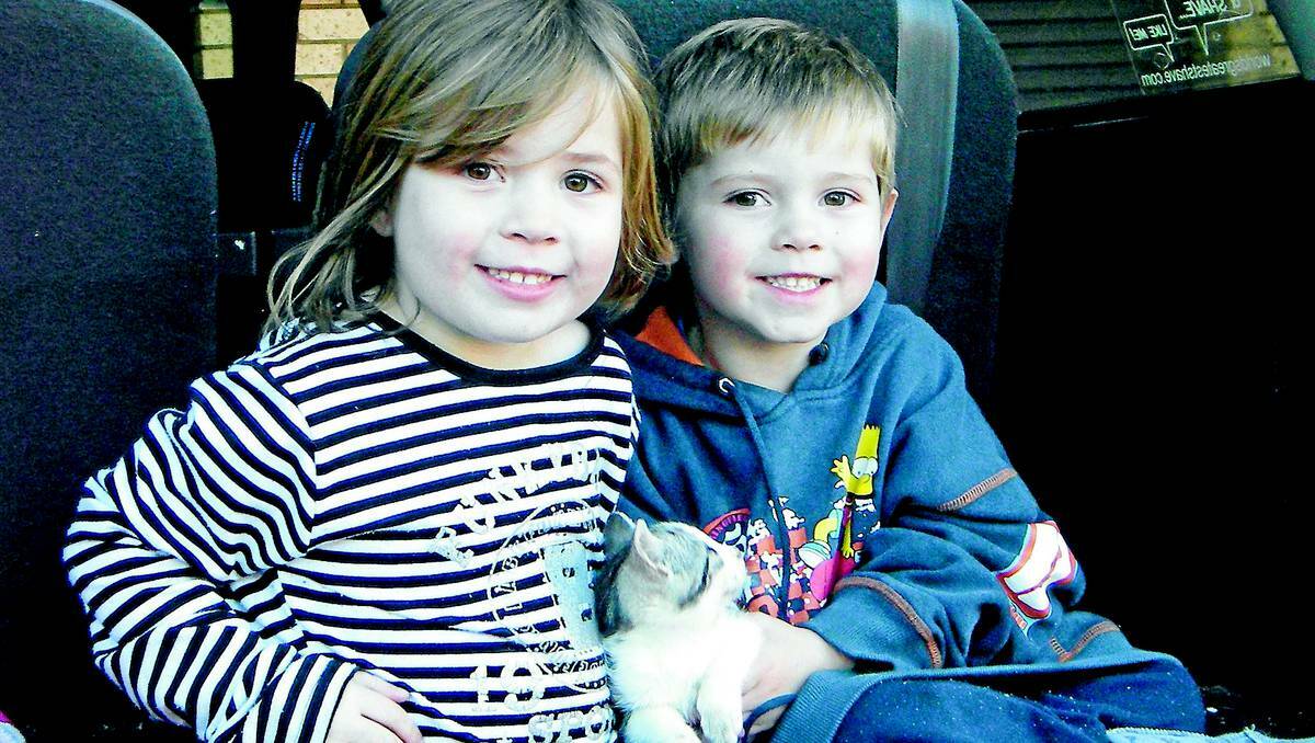 ORANGE:  Lydia and Owen Caughlan with their beloved kitten Chester who caused an emergency call out for firefighters on Saturday when he became trapped between the body pannels of the family car. Photo contributed by MATT JEFFERY