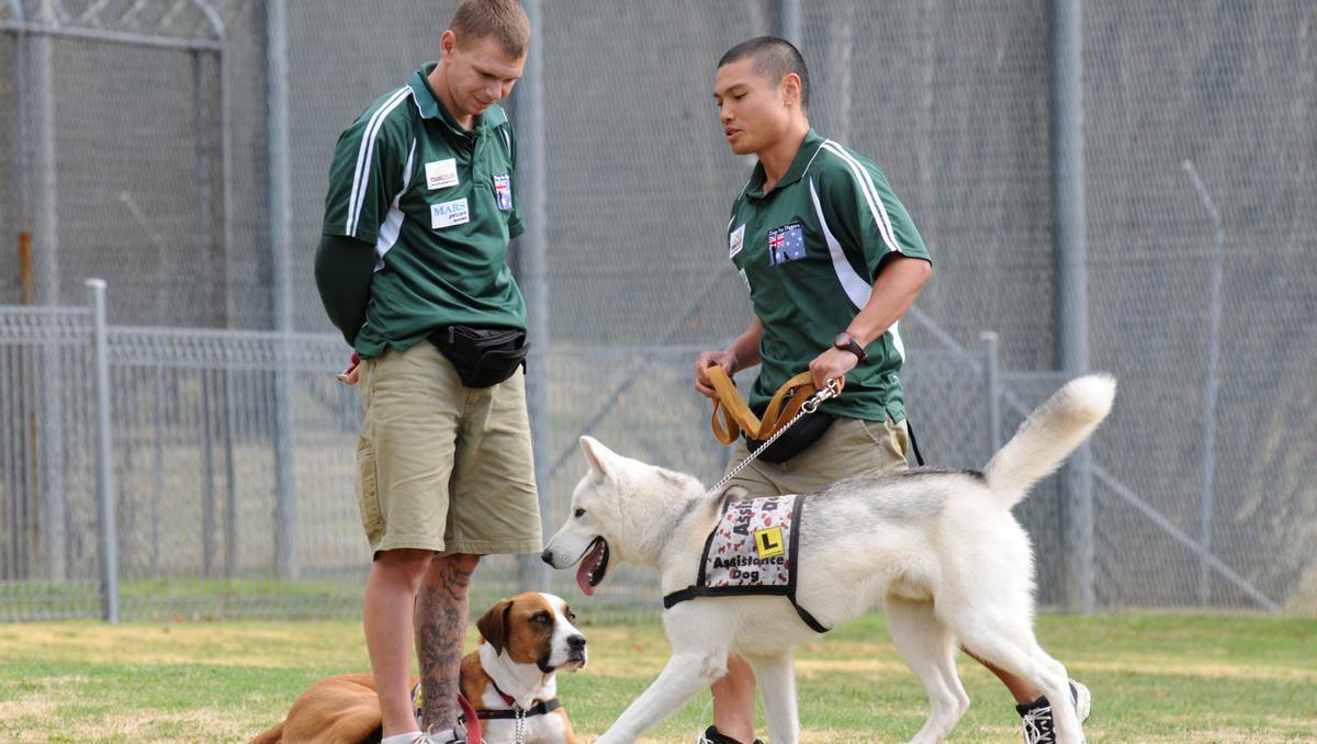 BATHURST: The first canine graduates of Corrective Services NSW' Dogs for Diggers program were handed over to their new owners at a special ceremony at Bathurst Correctional Centre on Thursday. 