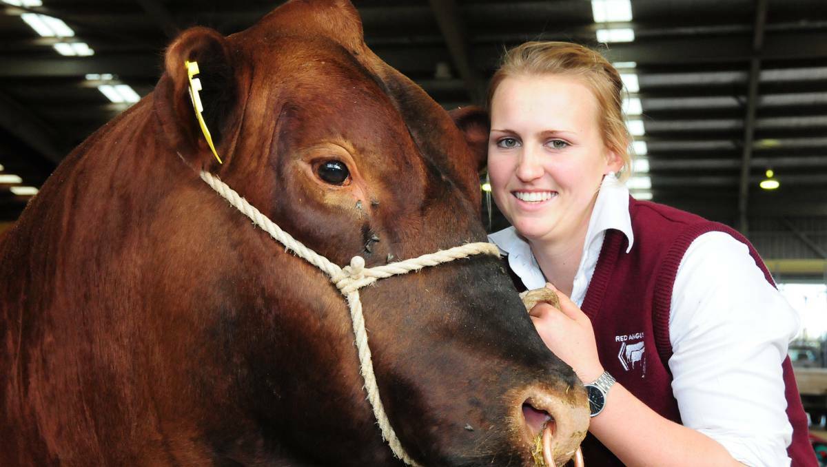 DUBBO: Danielle Plummer with 'Trigoona the Night' from Trigoona Red Angus Stud, Tottenham at the 14th National Red Angus sale.