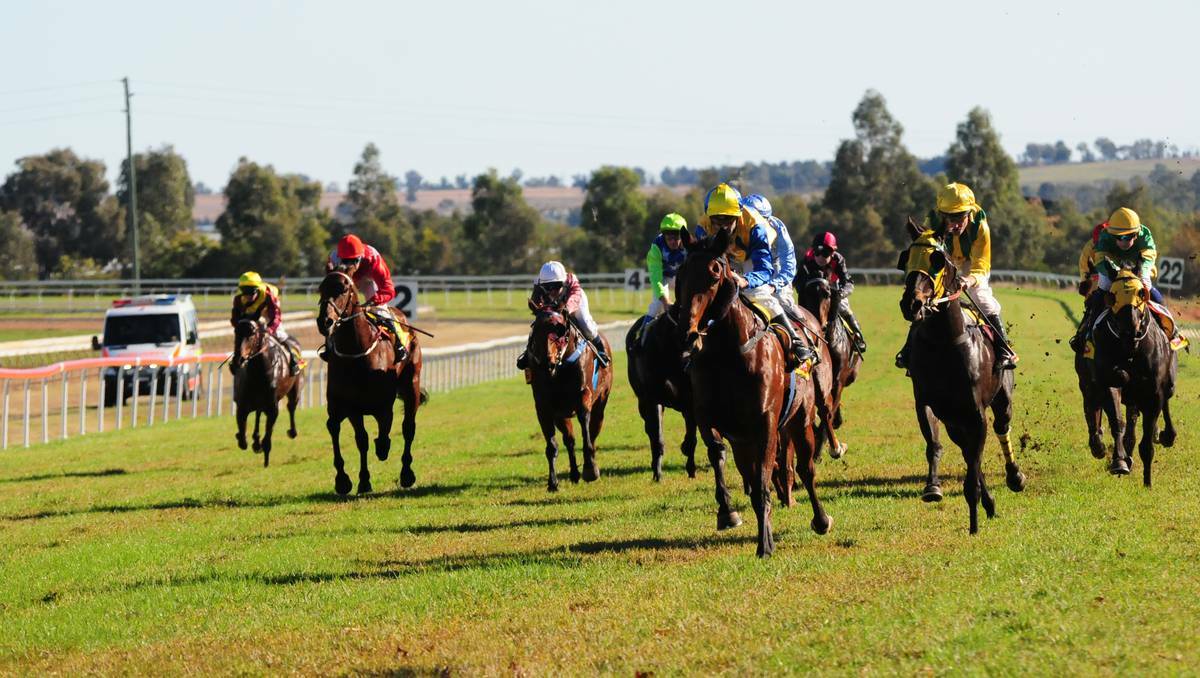 DUBBO: Al Coppelius with Michael Travers on board, leads the field home in the third race at Dubbo on Monday. Photo: LOUISE DONGES