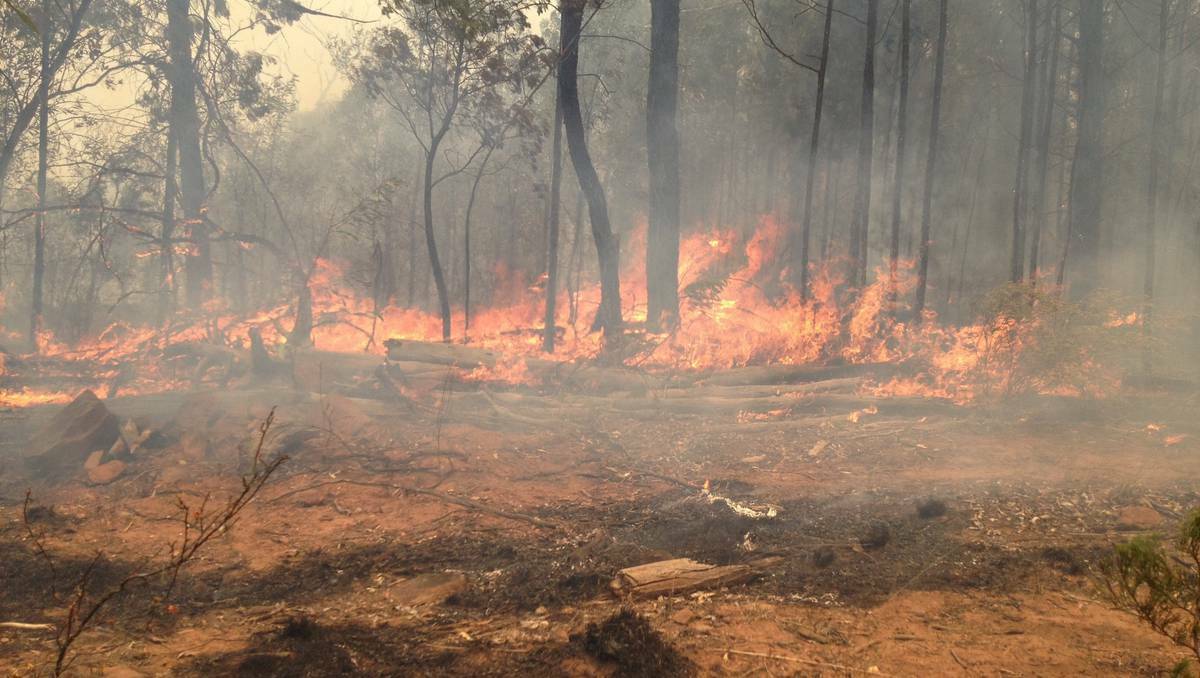A fire is burning in remote country east of the Jenolan Caves. Photo: FIRE AND RESCUE NSW