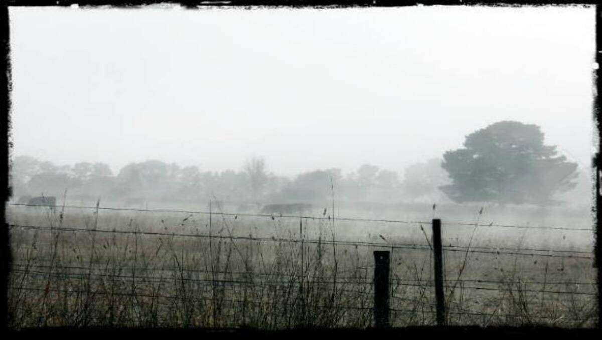 A beautiful foggy morning in Bathurst. Photo: Tracey Reedy