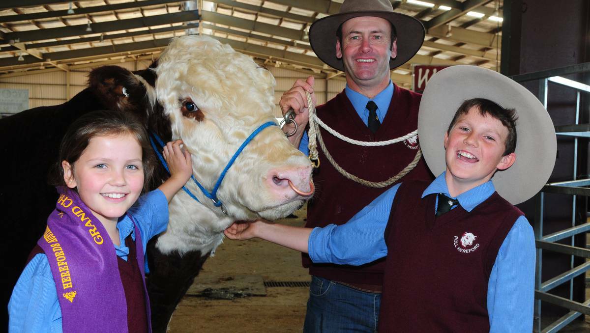A POLL Hereford bull from a Bordertown, South Australia stud, has sold for $90,000 creating a record price for the Herefords Australia's national show and sale at Dubbo. Pictured here are Eva and her father Lachy Day with Days' Calibre, the grand champion and $90,000 record breaker along with Sam Parish of Dubbo. Photo: LOUISE DONGES