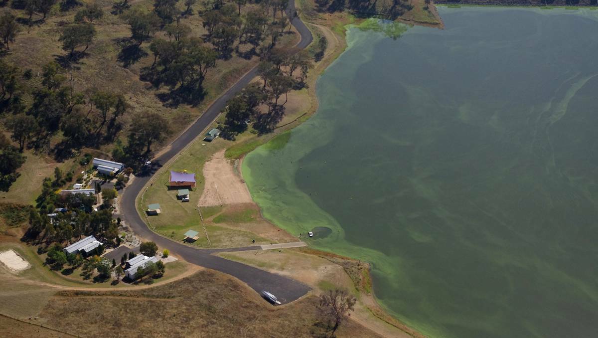 BATHURST: Brian Harvey took this image of Ben Chifley Dam earlier this month showing the outbreak of blue-green algae. 051313algae2