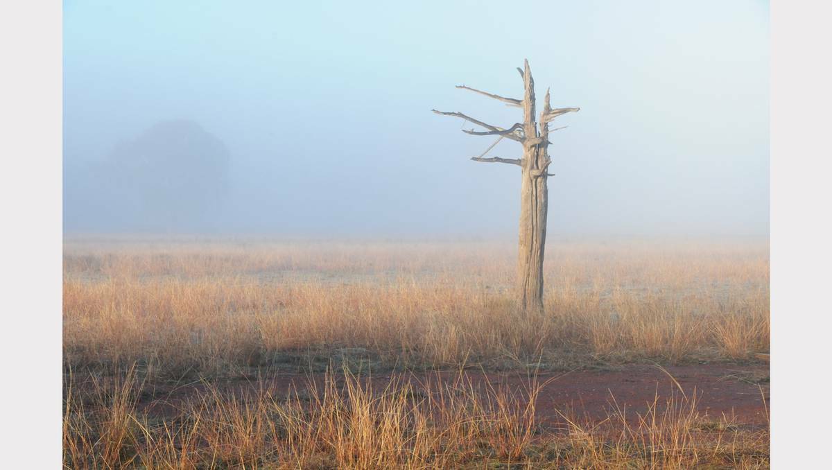 Some beautiful images of Dubbo's early frosty mornings. Photo: Louise Donges