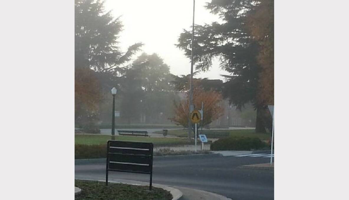 A foggy morning in Bathurst. Photo: Lynn Pinkerton