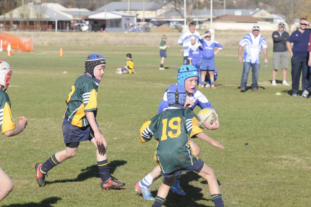 Peachey Shield & Richardson Cup for Primary Schools Rugby League.Photos by: Chris Seabrook.