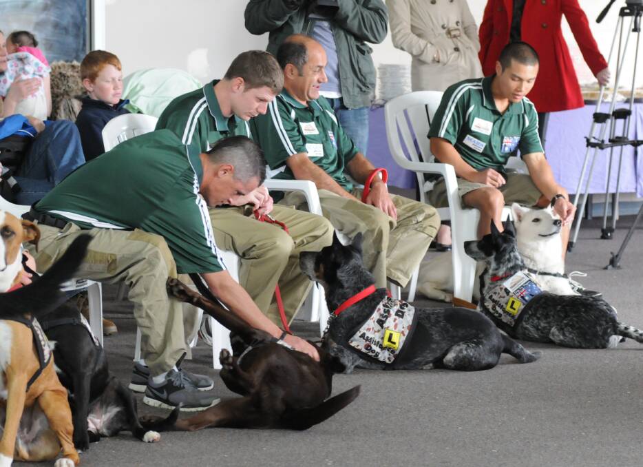 "Dogs for Diggers" graduation. Photo by Zenio Lapka.