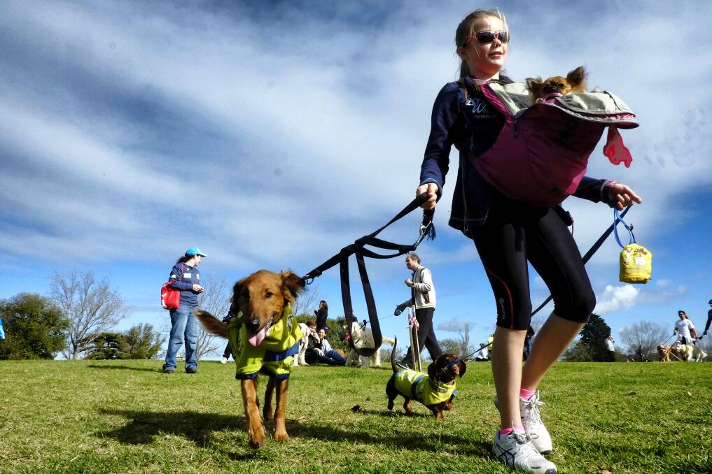 People taking part on the RSPCA Million Paws Walk around Albert Park Lake in Melbourne. Photo: The Age/Luis Enrique Ascui