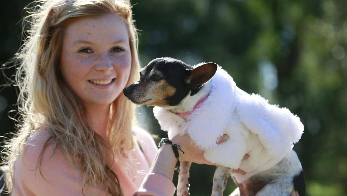 Paige Smith, of Metford, with her rescue dog, a fox terrier called Daisy-May. Picture: Peter Stoop