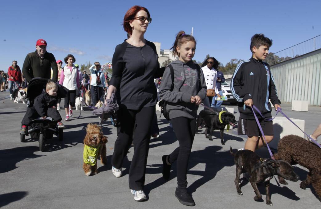 Prime Minister Julia Gillard and her cavoodle Reuben joined the RSPCA million paws walk around the lake in Canberra. Photo: Andrew Meares