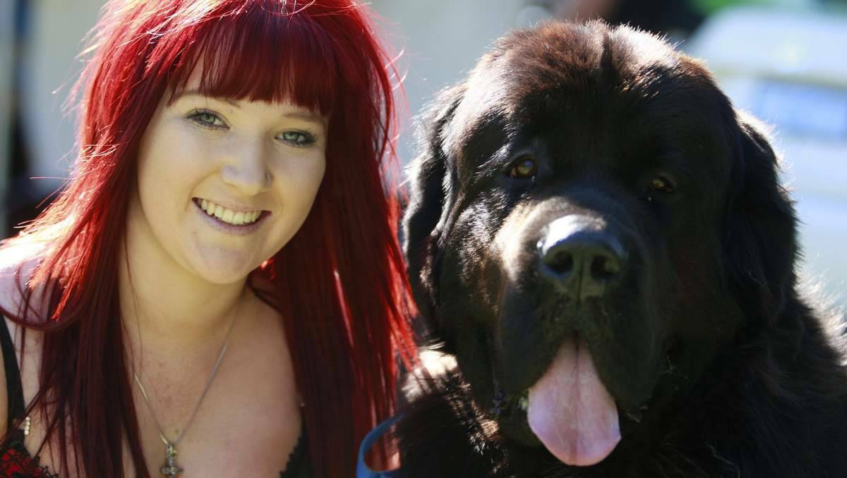 Heidi Forrest of Mulbring with her two-year-old Newfoundland called Jed at the Newcastle walk. Picture: Peter Stoop