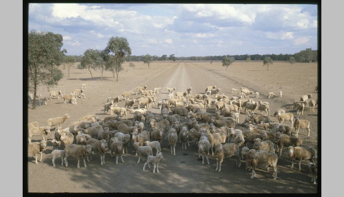 The drought-stricken north-western New South Wales town of Tottenham, 1992. Photo: National Archives of Australia