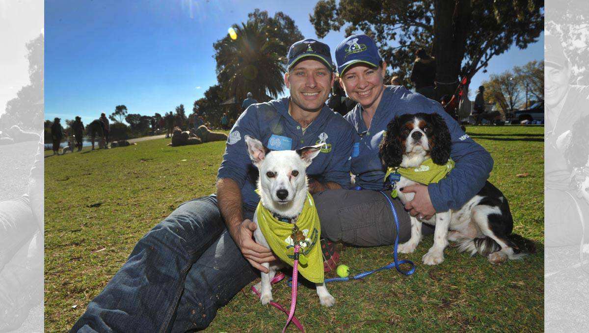 Brian and Kristy Curry with Sage and Benson at the Bendigo Million Paws Walk. Picture: Julie Hough