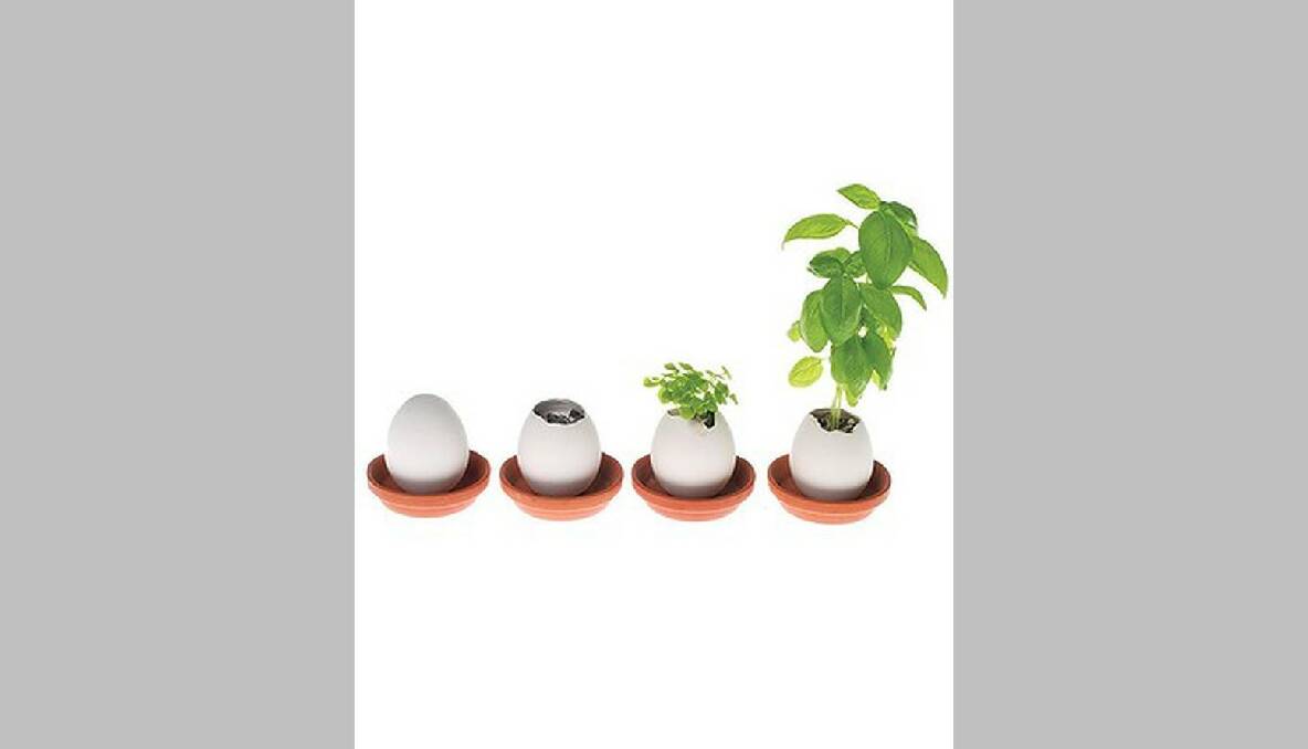 These nifty 'Eggling' eggs are perfect for a mum who lives in a small space and wants their own little patch. Just crack the top and you'll uncover a teeny garden ready to sprout your chosen herb or flower (with a little water and sunlight, of course). top3.com.au, RRP $25